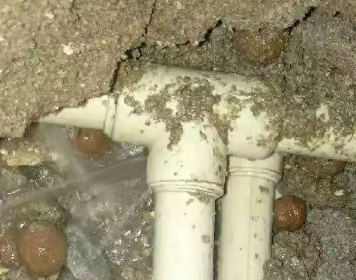 平桥测漏水多少钱