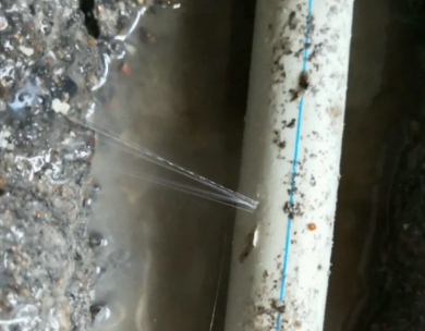 平桥测漏水哪家好