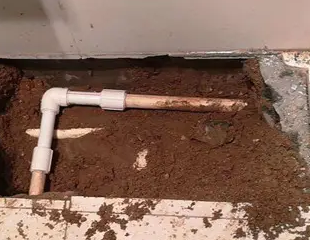 平桥测漏水哪家好