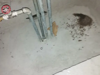 平桥卫生间测漏水价格明细