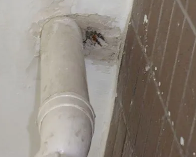 平桥漏水检测哪家好